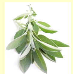 White Sage Organic Essential Oil 10mL