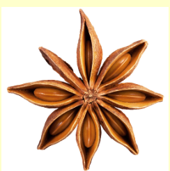 Star Anise Organic Essential Oil 10mL