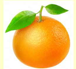 Tangerine Organic Essential Oil 15 mL