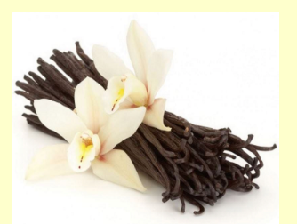 Vanilla Organic Essential Oil 5 mL