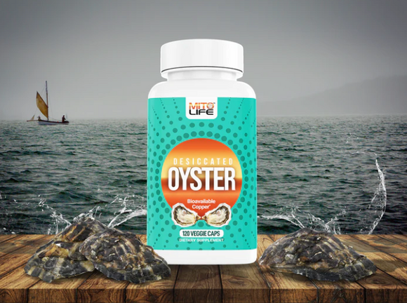 Oyster (100% New Zealand Sourced)