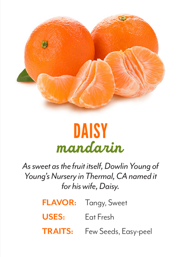 Organic Daisy Tangerines - PINT