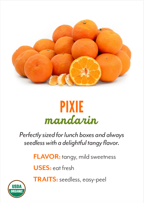 Organic Pixie Mandarins - PINT