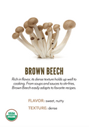 Organic Brown Beech Mushrooms - 1/2 PINT-1