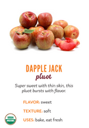 Organic Dapple Jack Pluot - EACH-1