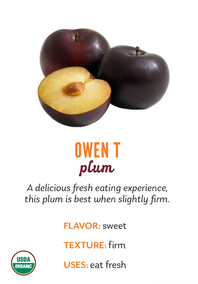 Organic Owen T Plums - PINT
