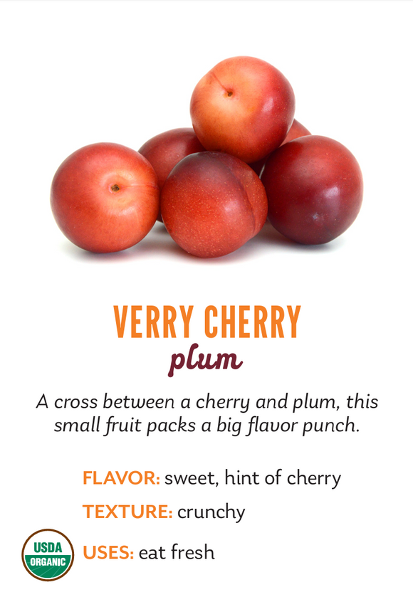 Organic Verry Cherry Plums - PINT