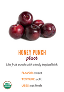 Organic Honey Punch Pluot - PINT-1