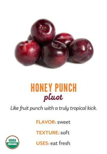 Organic Honey Punch Pluot - PINT