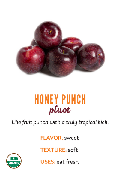 Organic Honey Punch Pluot - PINT