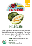 Organic Piel De Sapo Melon - EACH-1