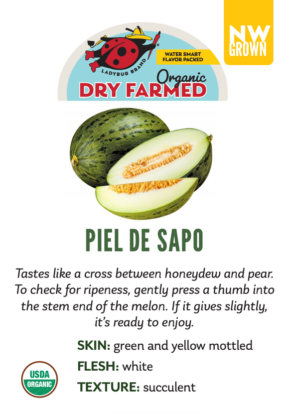Organic Piel De Sapo Melon - EACH