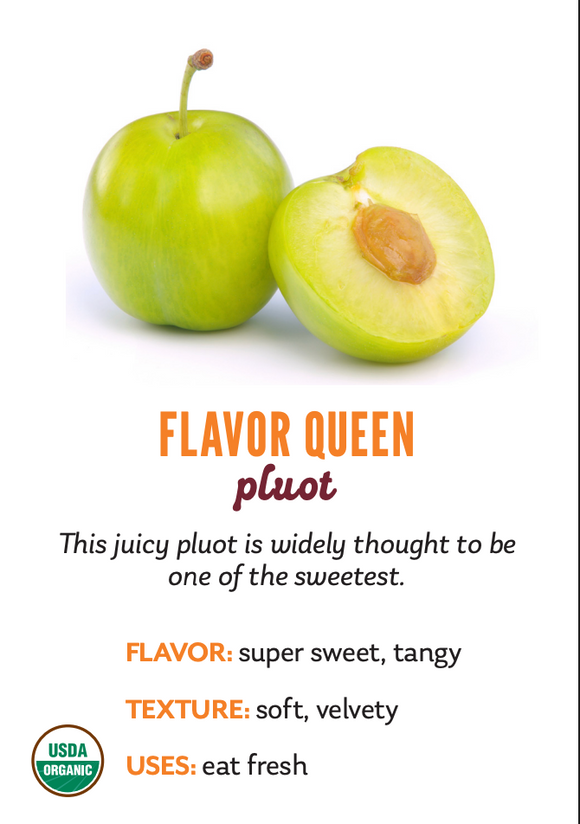 Organic Flavor Queen Pluot - PINT