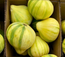 Organic Candystripe Figs - PINT-1