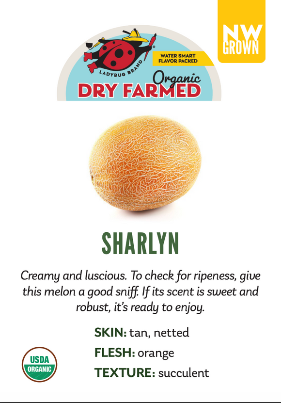 Organic Sharlyn Dry Farm Melon - EACH