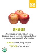 Organic Jonagold Apple - EACH-2