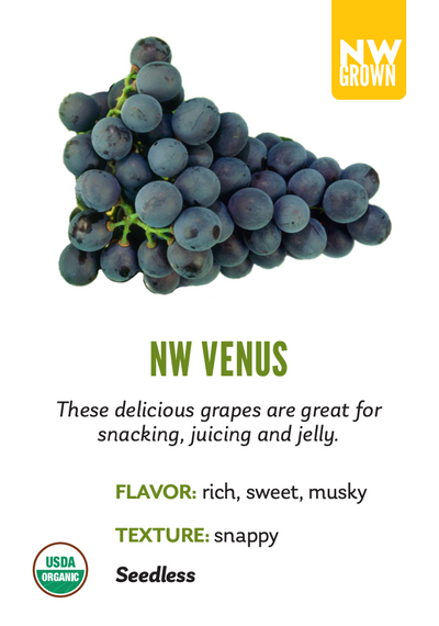 Organic Venus Grapes - TOTE