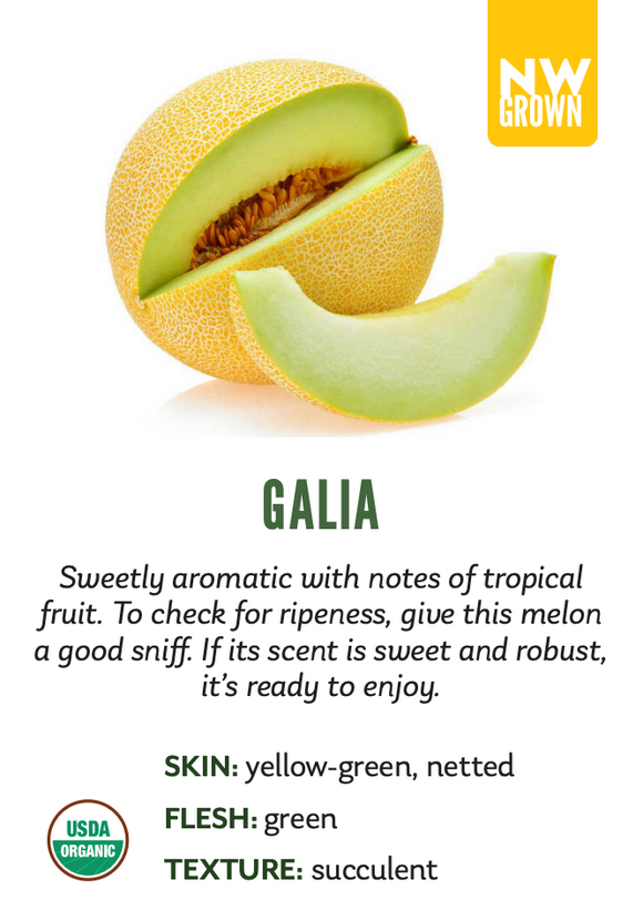 Organic Galia Melon - EACH