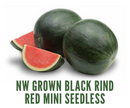 Organic Black Watermelon - EACH-1