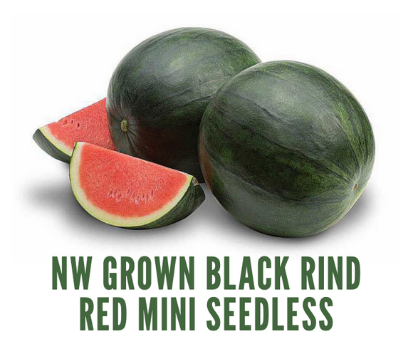 Organic Black Watermelon - EACH