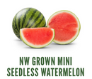 Organic Mini Watermelon - EACH-2