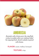 Organic Ambrosia Apple - EACH-2
