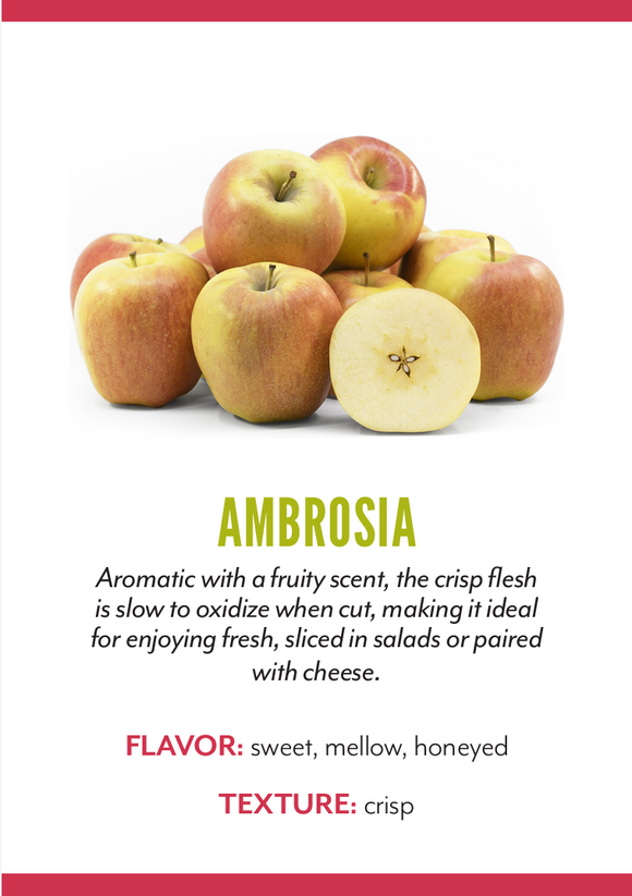 Organic Ambrosia Apple - EACH