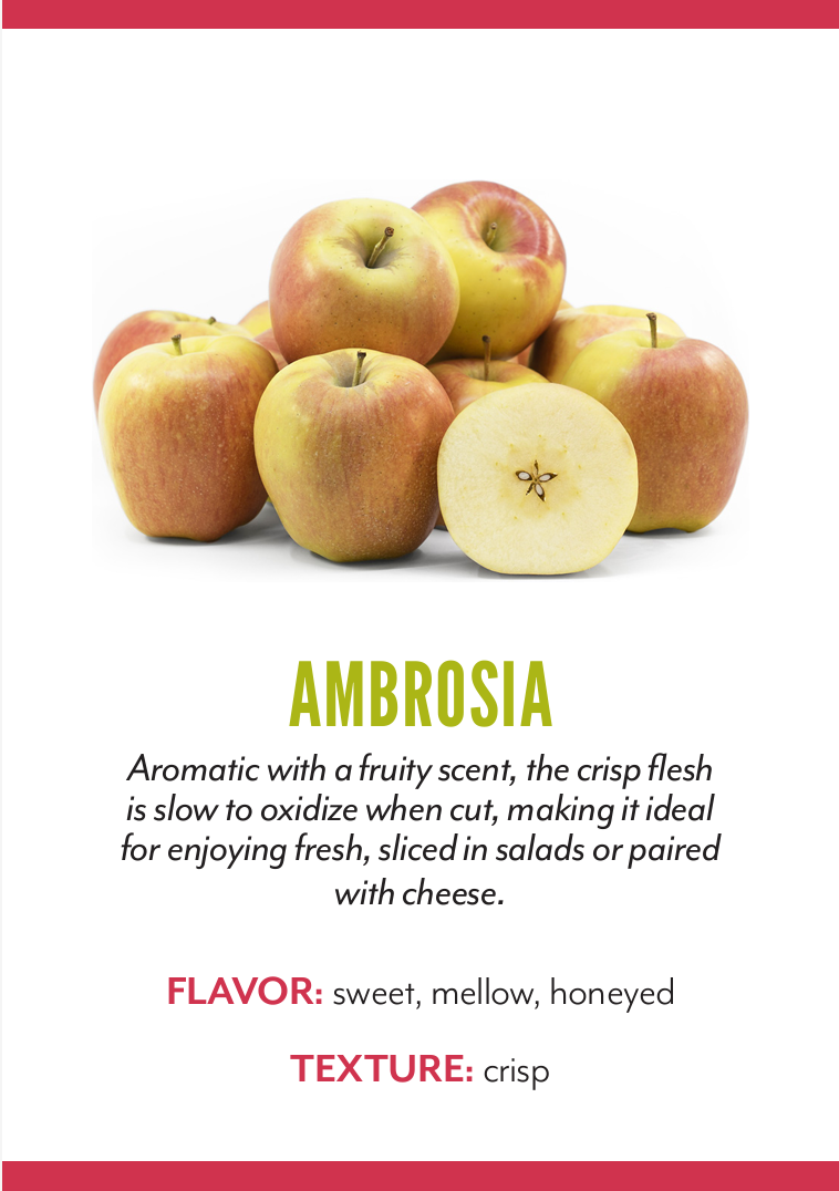 Organic Ambrosia Apple - EACH