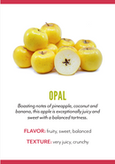 Organic Opal Apple - EACH-2