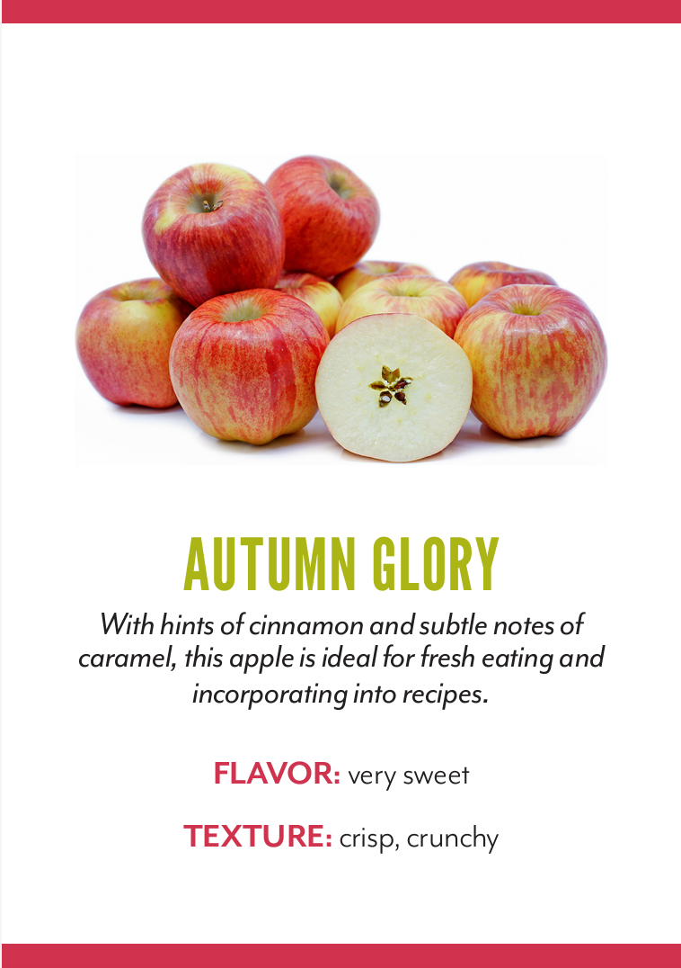 Organic Autumn Glory Apple - EACH