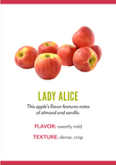 Organic Lady Alice Apple - EACH-1
