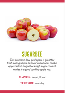 Organic Sugar Bee Apple - EACH-2