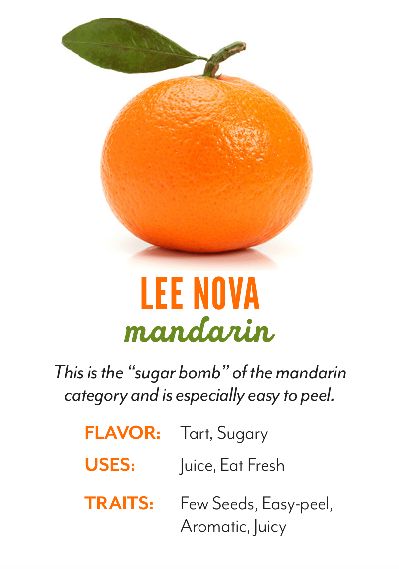 Organic Lee Nova Mandarins - PER LB