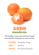 Organic Algerian Mandarins - EACH-2