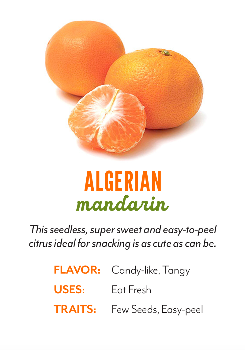 Organic Algerian Mandarins - PER LB