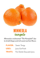 Organic Minneola Tangelo - EACH-2