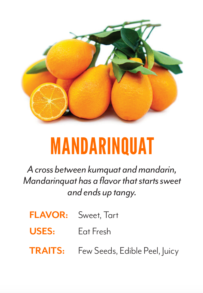 Organic Mandarinquats - PER LB