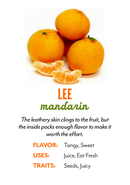 Organic Lee Nova Mandarins - PINT-2