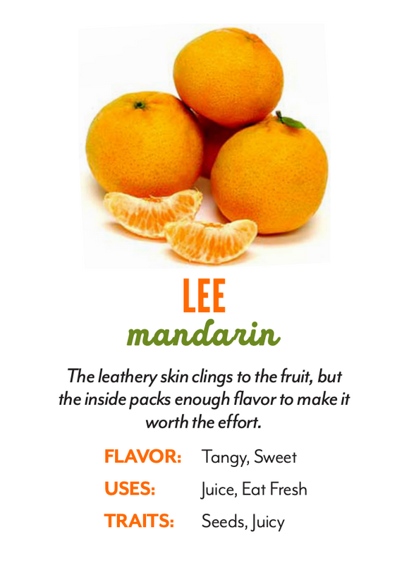 Organic Lee Nova Mandarins - PINT
