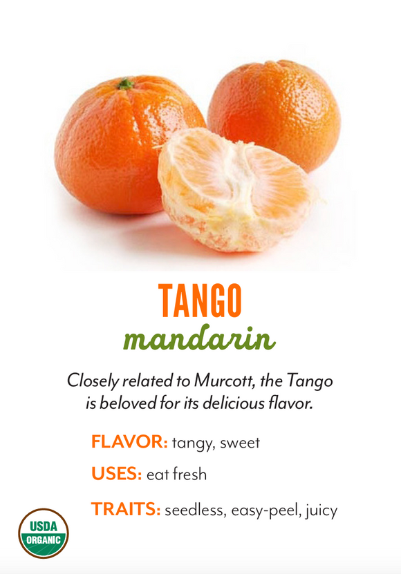 Organic Tango Mandarins - PINT