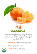 Organic Page Mandarins - PINT-1