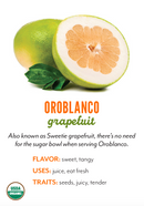Organic Oro Blanco Grapefruit - EACH-1