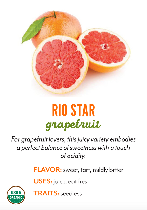 Organic Rio Star Grapefruit - EACH