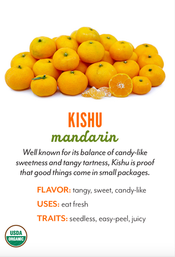 Organic Kishu Mandarins - PINT