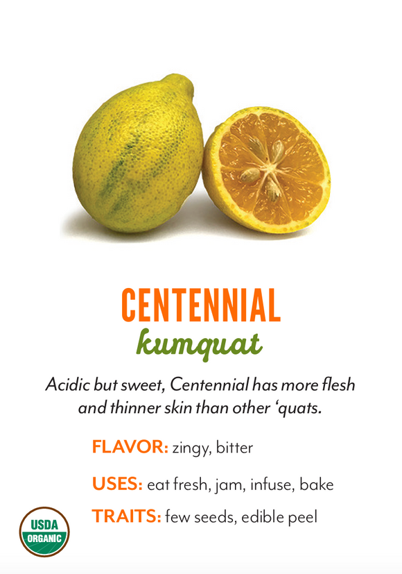 Organic Centennial Kumquats - 1/2 PINT