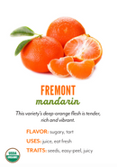 Organic Fremont Mandarins - PINT-2