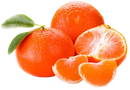 Organic Fremont Mandarins - PINT-1