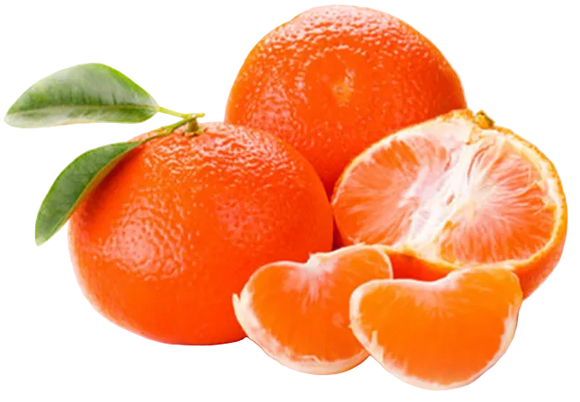 Organic Fremont Mandarins - PINT