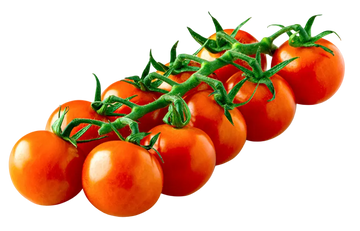 Organic Tomato Poppies - PINT