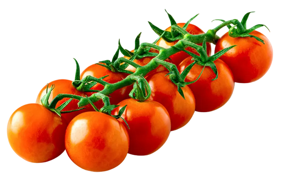 Organic Tomato Poppies - PINT
